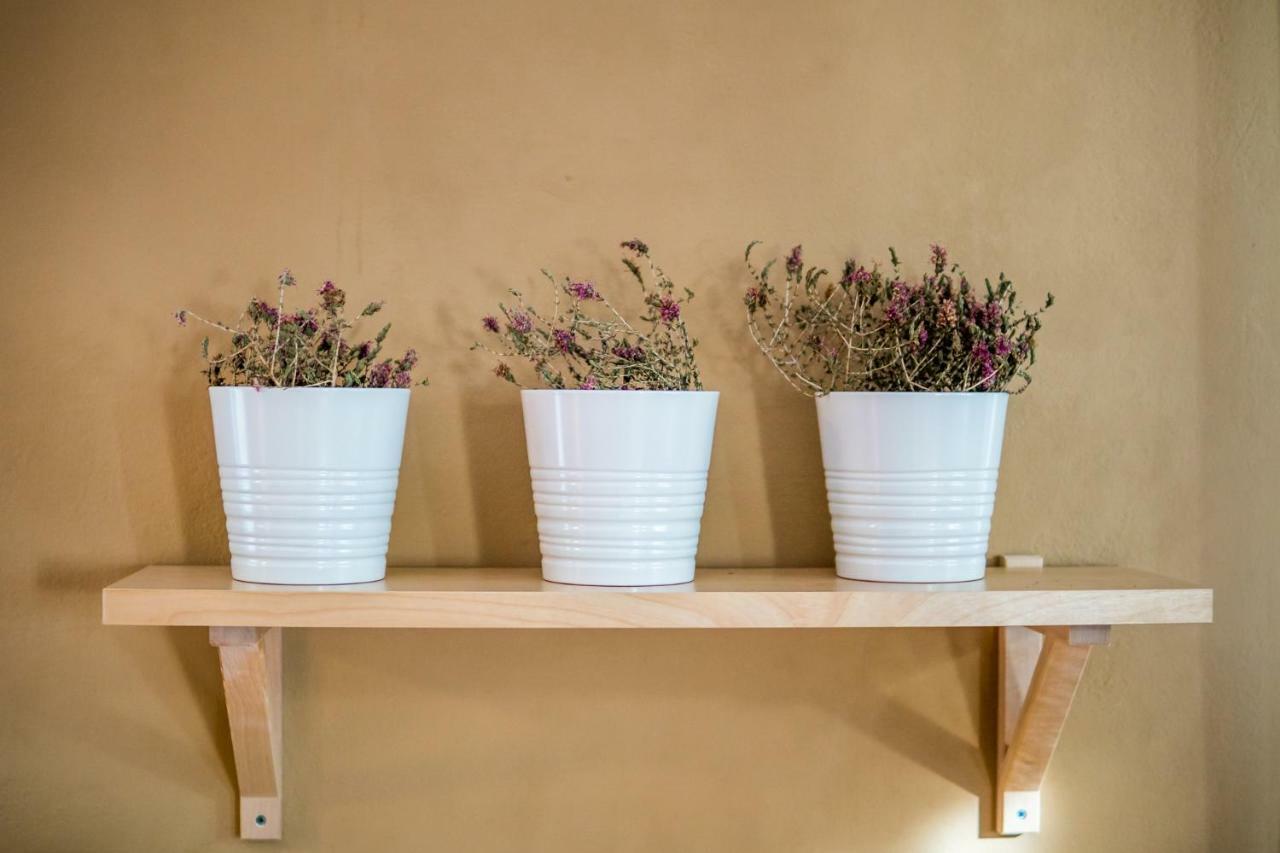 Almond Trees Cottage Divarata エクステリア 写真
